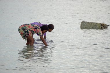 Nungwi, Zanzibar - Ekim 2024: Sular çekildiğinde okyanustan deniz ürünleri toplayan kadın