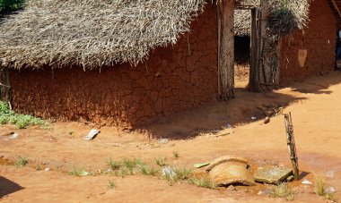 Kinyasini 'de bir su birikintisi. Zanzibar' da fakir bir köy.