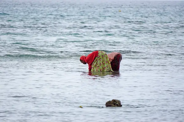 Nungwi, Zanzibar - Ekim 2024: Sular çekildiğinde okyanustan deniz ürünleri toplayan kadın