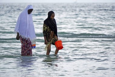 Nungwi, Zanzibar - Ekim 2024: Sular çekildiğinde okyanustan deniz ürünleri toplayan kadın