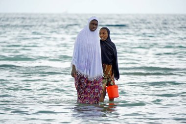 Nungwi, Zanzibar - Ekim 2024: Sular çekildiğinde okyanustan deniz ürünleri toplayan kadın