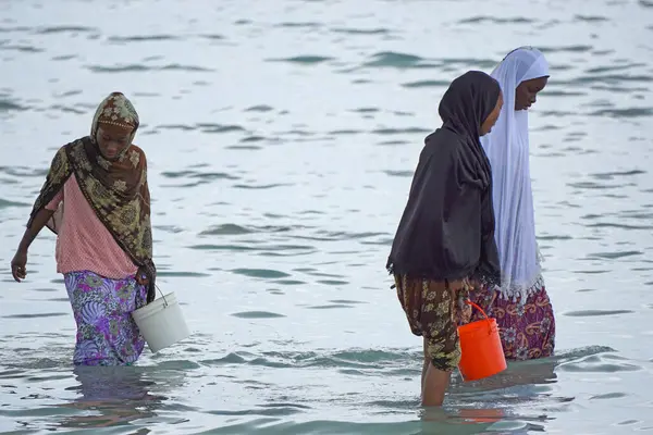 Nungwi, Zanzibar - Ekim 2024: Sular çekildiğinde okyanustan deniz ürünleri toplayan kadın