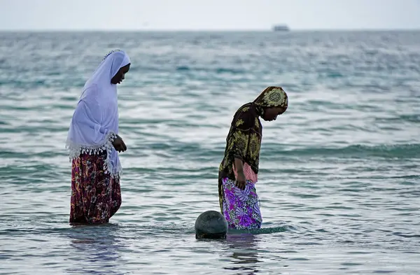 Nungwi, Zanzibar - Ekim 2024: Sular çekildiğinde okyanustan deniz ürünleri toplayan kadın