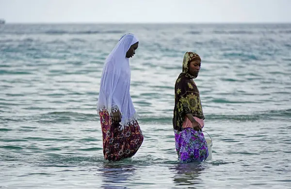 Nungwi, Zanzibar - Ekim 2024: Sular çekildiğinde okyanustan deniz ürünleri toplayan kadın