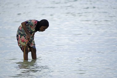 Nungwi, Zanzibar - Ekim 2024: Sular çekildiğinde okyanustan deniz ürünleri toplayan kadın