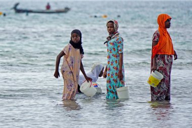 Nungwi, Zanzibar - Ekim 2024: Sular çekildiğinde okyanustan deniz ürünleri toplayan kadın