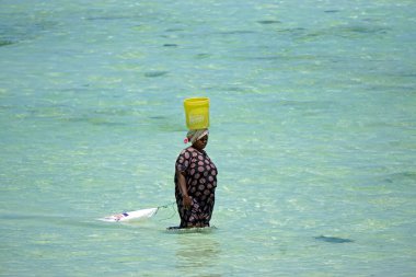 Jambiani, Zanzibar - Ekim 2024: Sular çekildiği sırada deniz yosunu toplayan kadın