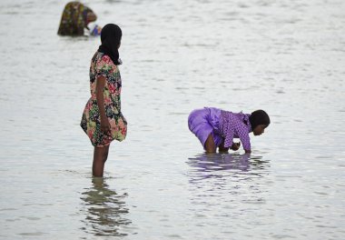 Nungwi, Zanzibar - Ekim 2024: Sular çekildiğinde okyanustan deniz ürünleri toplayan kadın