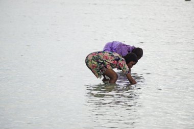 Nungwi, Zanzibar - Ekim 2024: Sular çekildiğinde okyanustan deniz ürünleri toplayan kadın