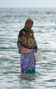 Nungwi, Zanzibar - Ekim 2024: Sular çekildiğinde okyanustan deniz ürünleri toplayan kadın
