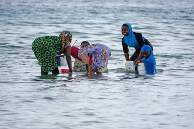 Nungwi, Zanzibar - Ekim 2024: Sular çekildiğinde okyanustan deniz ürünleri toplayan kadın