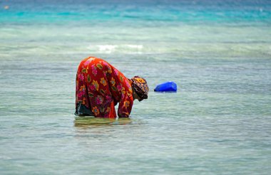 Nungwi, Zanzibar - Ekim 2024: Sular çekildiğinde okyanustan deniz ürünleri toplayan kadın