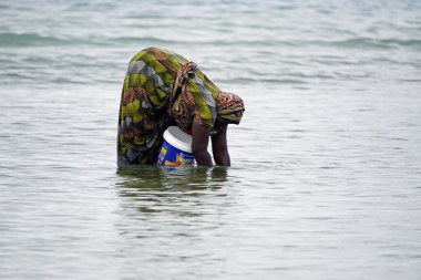 Nungwi, Zanzibar - Ekim 2024: Sular çekildiğinde okyanustan deniz ürünleri toplayan kadın
