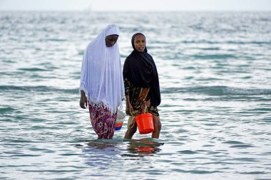 Nungwi, Zanzibar - Ekim 2024: Sular çekildiğinde okyanustan deniz ürünleri toplayan kadın