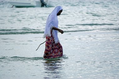Nungwi, Zanzibar - Ekim 2024: Sular çekildiğinde okyanustan deniz ürünleri toplayan kadın