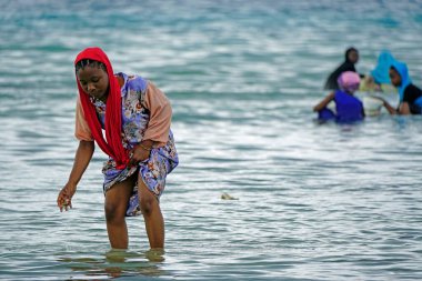 Nungwi, Zanzibar - Ekim 2024: Sular çekildiğinde okyanustan deniz ürünleri toplayan kadın