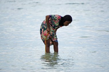 Nungwi, Zanzibar - Ekim 2024: Sular çekildiğinde okyanustan deniz ürünleri toplayan kadın