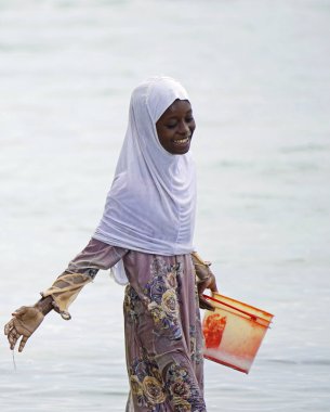 Nungwi, Zanzibar - Ekim 2024: Sular çekildiğinde okyanustan deniz ürünleri toplayan kadın