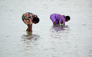 Nungwi, Zanzibar - Ekim 2024: Sular çekildiğinde okyanustan deniz ürünleri toplayan kadın