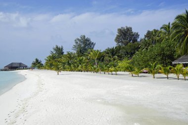 Maldivler üzerindeki egzotik tropik cennet adası