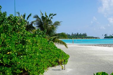 Maldivler üzerindeki egzotik tropik cennet adası