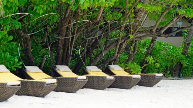 Maldivler üzerindeki egzotik tropik cennet adası