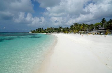 Maldivler üzerindeki egzotik tropik cennet adası