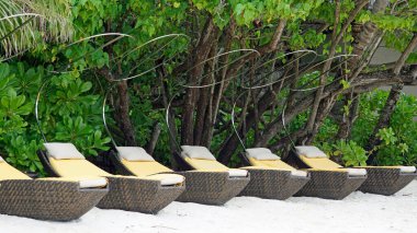 Maldivler üzerindeki egzotik tropik cennet adası