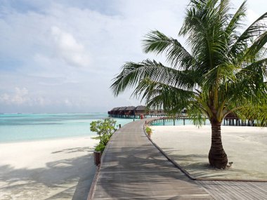 Maldiv adasında manzaralı iskele manzarası