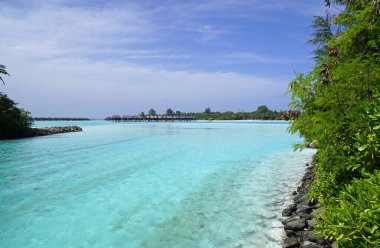Maldivler üzerinde tropik egzotik islad cenneti