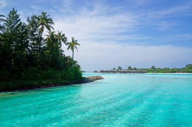 Maldivler üzerinde tropik egzotik islad cenneti