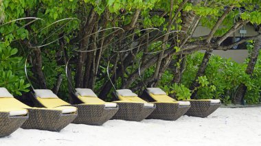 Maldivler üzerindeki egzotik tropik cennet adası