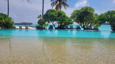 Maldiv adasında manzaralı yüzme havuzu