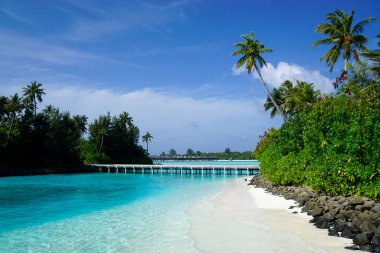 Maldivler üzerindeki egzotik tropik cennet adası