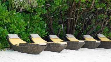 Maldivler üzerindeki egzotik tropik cennet adası