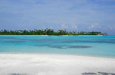 Maldivler üzerindeki egzotik tropik cennet adası