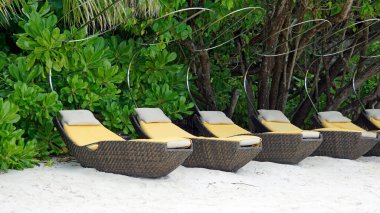 Maldivler üzerindeki egzotik tropik cennet adası