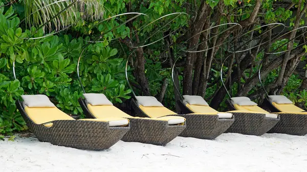 Maldivler üzerindeki egzotik tropik cennet adası