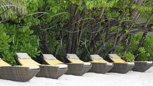 Maldivler üzerindeki egzotik tropik cennet adası