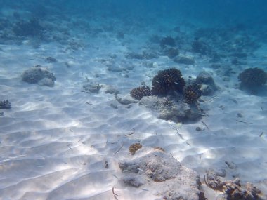 Maldivler adalarındaki mercan kayalıkları