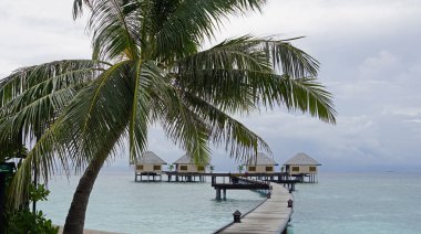 Maldivler üzerindeki bir adada su villaları