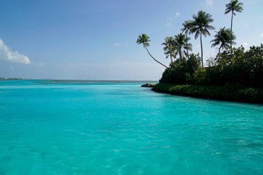 Maldivler üzerinde tropik egzotik islad cenneti