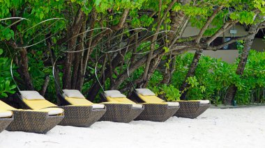 Maldivler üzerindeki egzotik tropik cennet adası