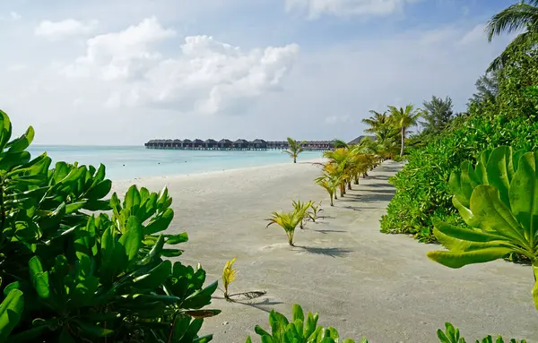 Maldivler üzerindeki bir adada su villaları