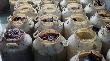 Maldivlerdeki balık pazarında tonlarca balık atıkları var.