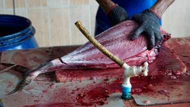 Themaldives 'taki balık pazarında taze ton balığı bifteği hazırlıyorum.