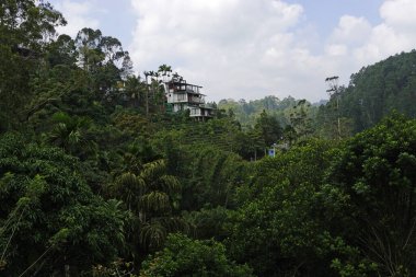 Ella 'nın yeşil dağlarında evler, Sri Lanka