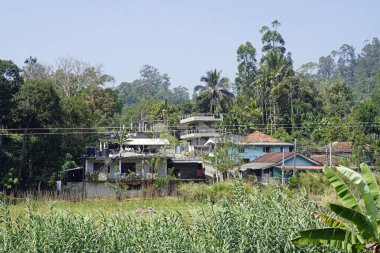 Sri Lanka 'nın dağlık kesimlerinde küçük bir köyde