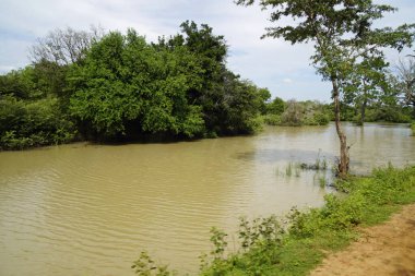 Sri Lanka 'daki Yale Ulusal Parkı manzaralı.