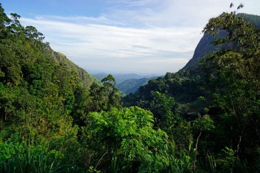 Sri Lanka Ella 'daki dağların manzaralı yeşil manzarası.